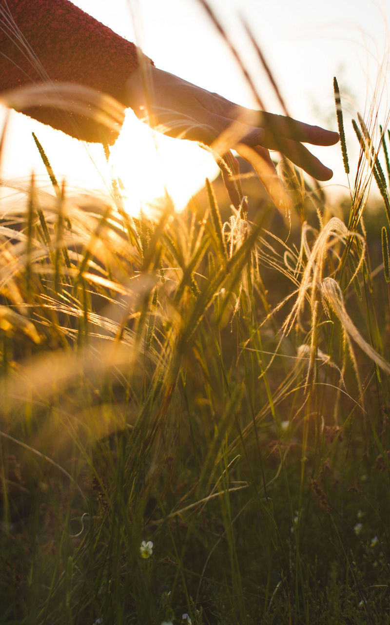 Discover fashion with a low environmental impact