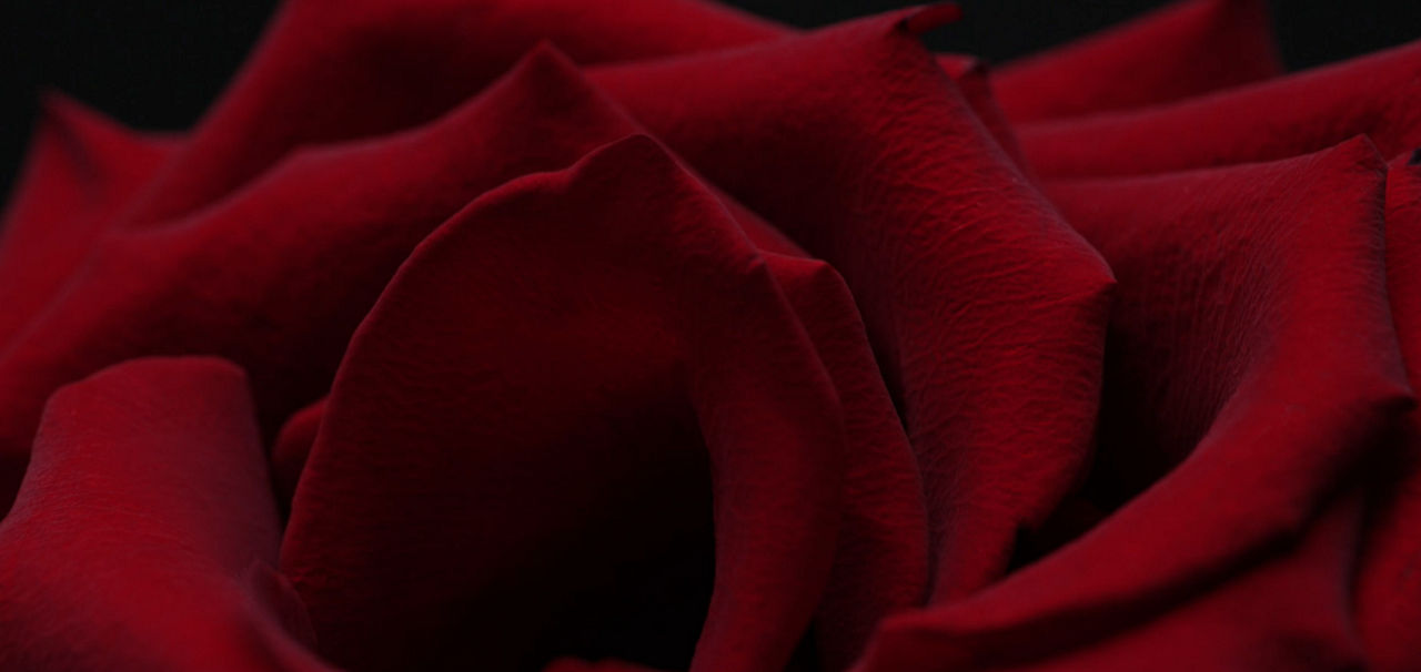 A gif showing ingredients of BOSS perfumes 