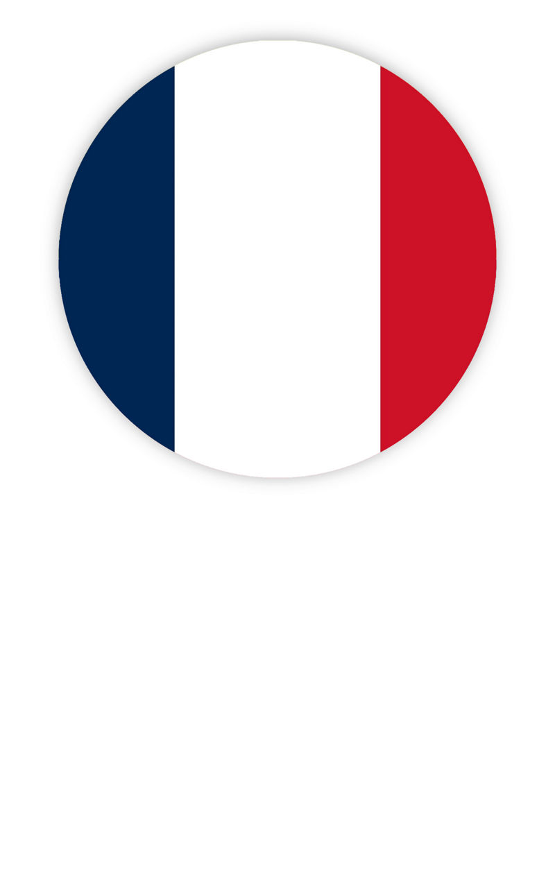 france-flag