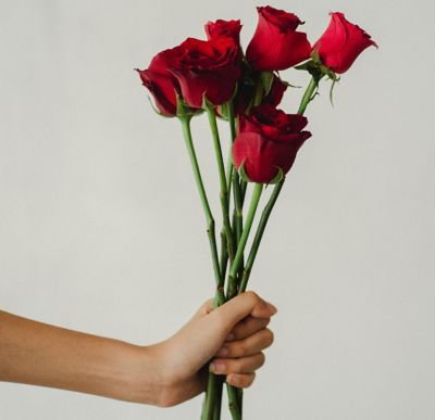 Hand handing red roses
