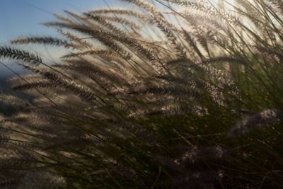 Ontdek meer verantwoorde onderwerpen