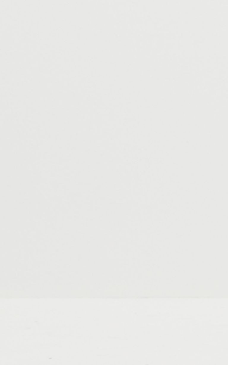 plain white background